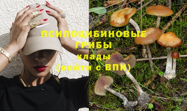 крисы Армянск