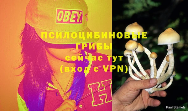 крисы Армянск
