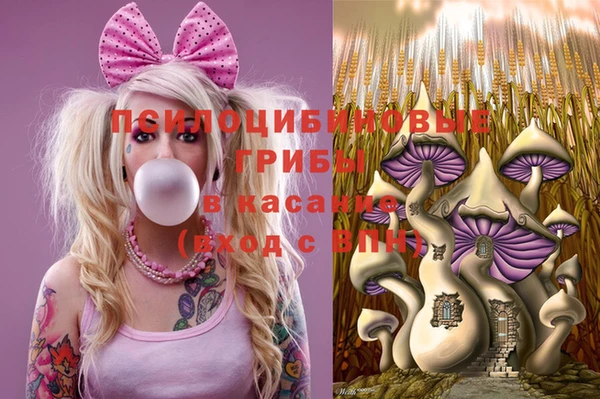 крисы Армянск
