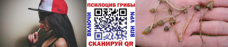 Псилоцибиновые грибы прущие грибы  как найти   blacksprut ссылки  Долгопрудный 
